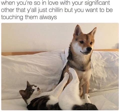 sexy memes for him|Spicy Relationship Memes To Send To Your Significant .